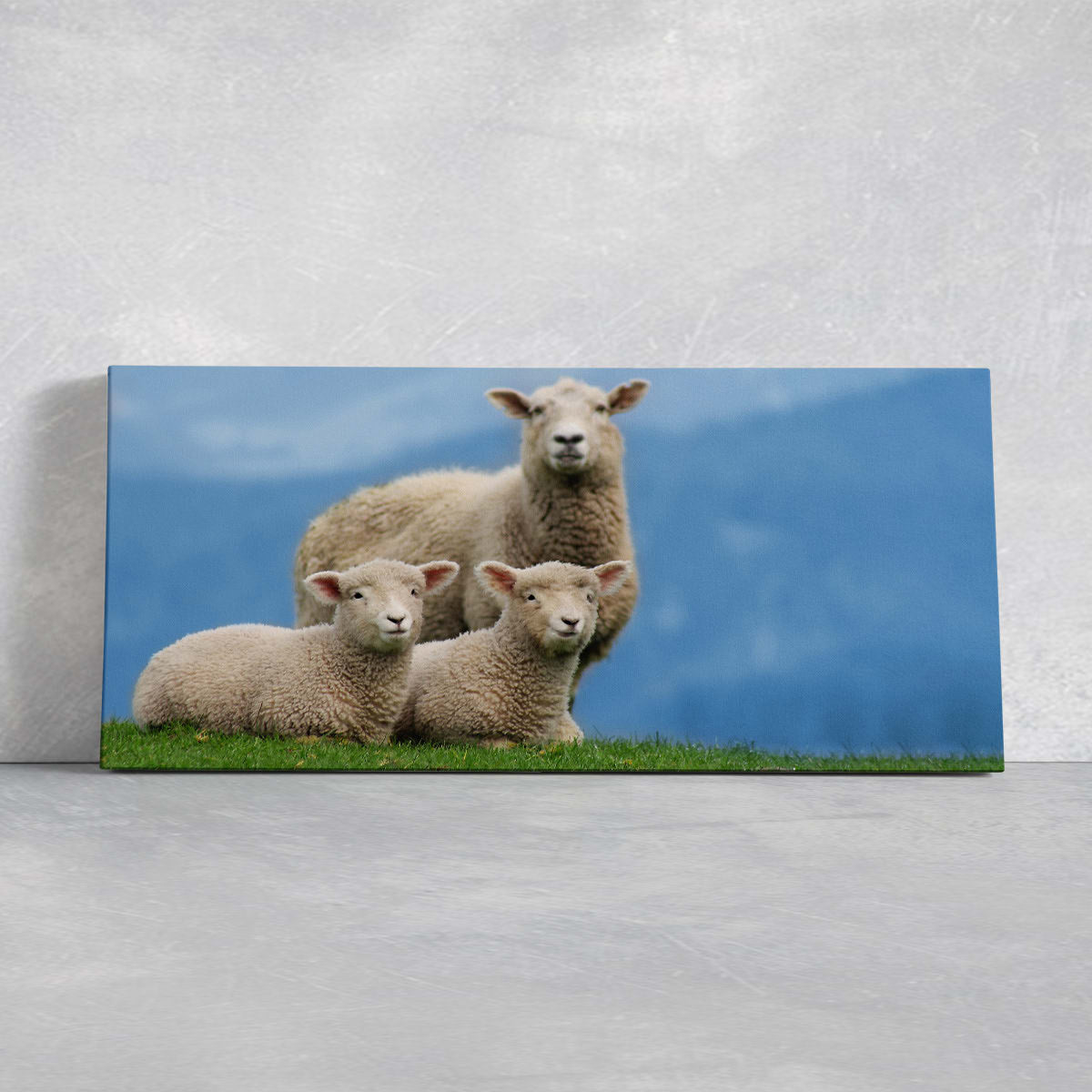 Sheep Family Wall Art Canvas-Stunning Canvas Prints