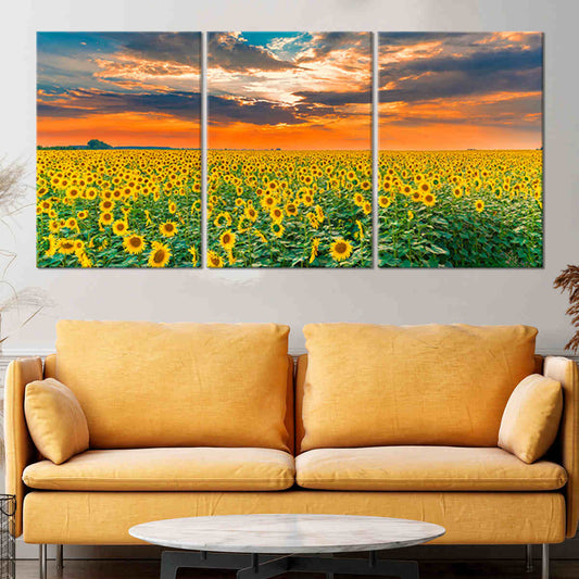 3 piece sunflower wall art - Stunning Canvas Prints