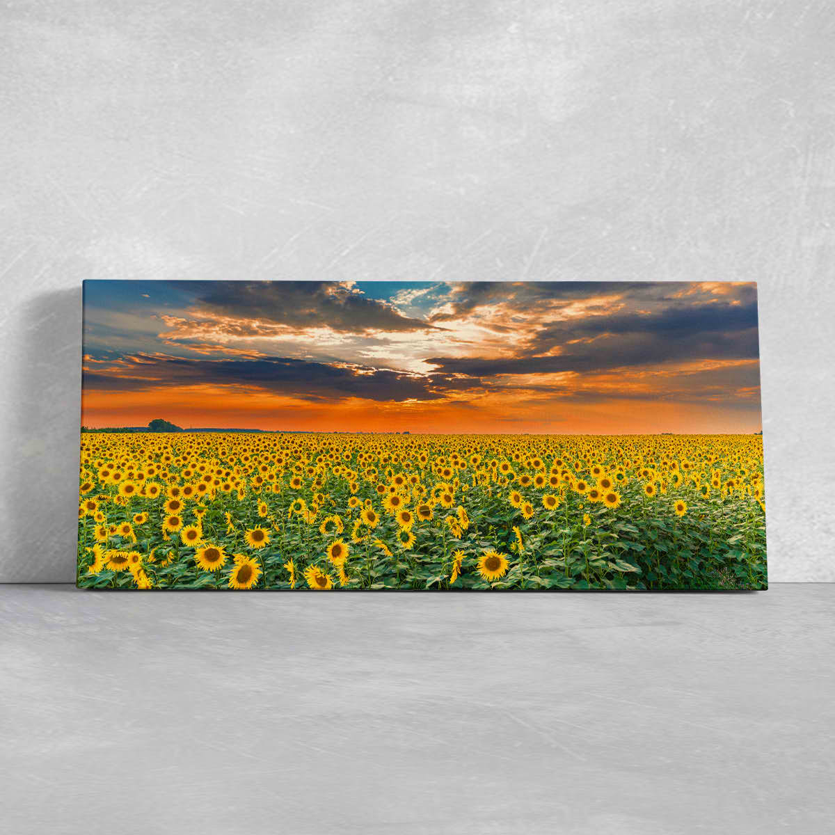 Sunflower Field Wall Art Canvas-Stunning Canvas Prints