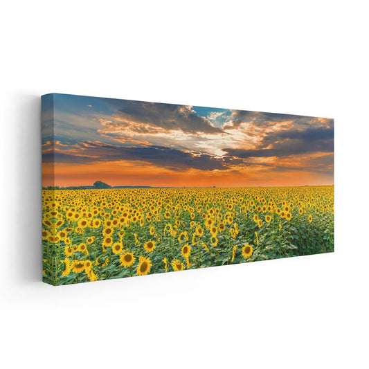 Sunflower Field Wall Art Canvas-Stunning Canvas Prints