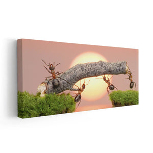 Ant Teamwork Wall Art Canvas-Stunning Canvas Prints