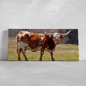 Majestic Texas Longhorn Wall Art Canvas-Stunning Canvas Prints