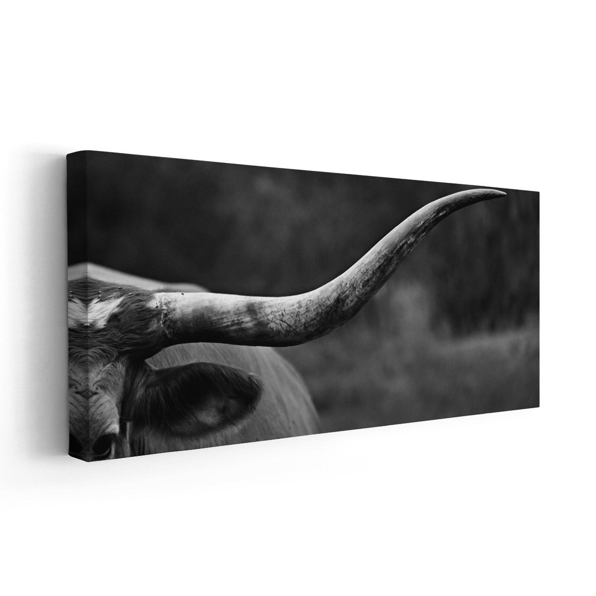 Black And White Longhorn Wall Art Canvas-Stunning Canvas Prints