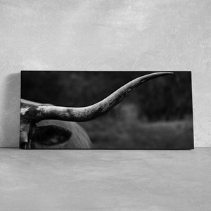 Black And White Longhorn Wall Art Canvas-Stunning Canvas Prints