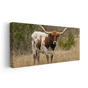 Longhorn In The pasture Wall Art Canvas-Stunning Canvas Prints