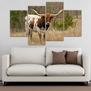 Longhorn In The pasture Wall Art Canvas-Stunning Canvas Prints