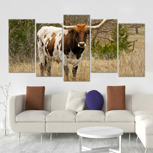 Longhorn In The pasture Wall Art Canvas-Stunning Canvas Prints