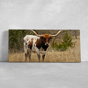 Longhorn In The pasture Wall Art Canvas-Stunning Canvas Prints