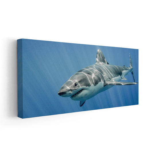 Great White Shark Wall Art Canvas-Stunning Canvas Prints