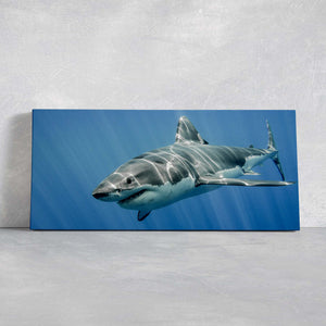 Great White Shark Wall Art Canvas-Stunning Canvas Prints