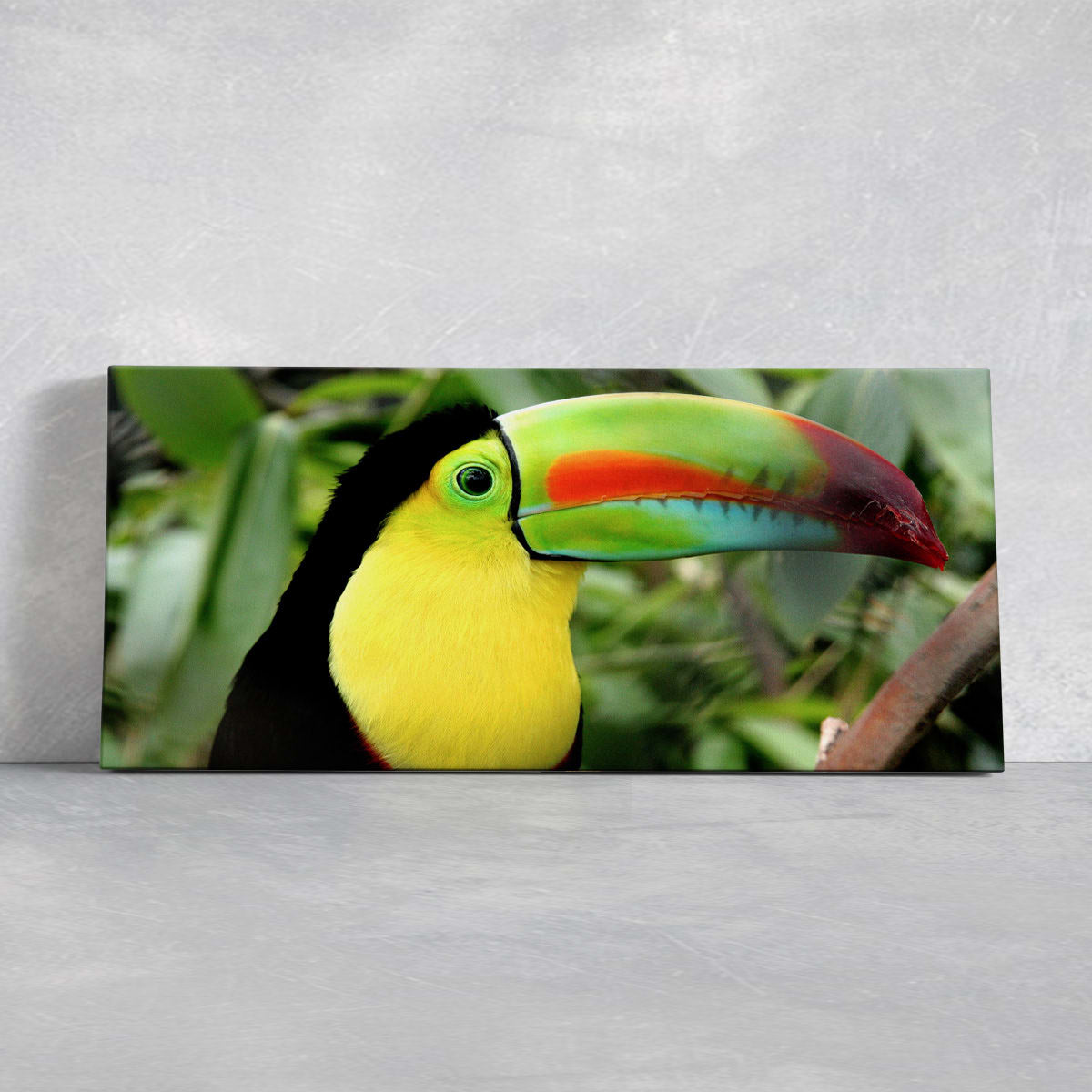 Colorful Toucan Wall Art Canvas-Stunning Canvas Prints