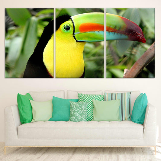 Colorful Toucan Wall Art Canvas-Stunning Canvas Prints