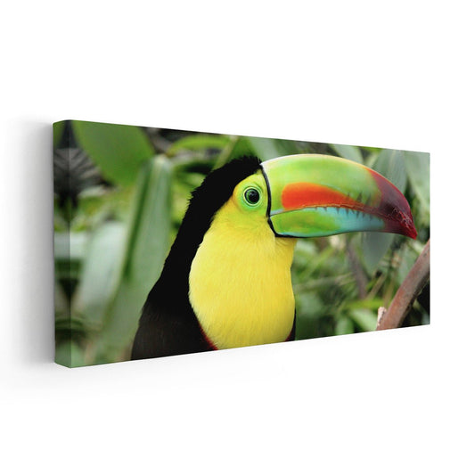 Colorful Toucan Wall Art Canvas-Stunning Canvas Prints