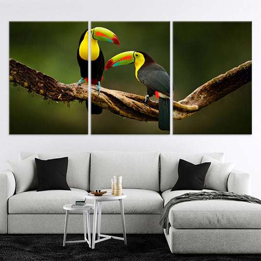 Toucans On Branch Wall Art Canvas-Stunning Canvas Prints