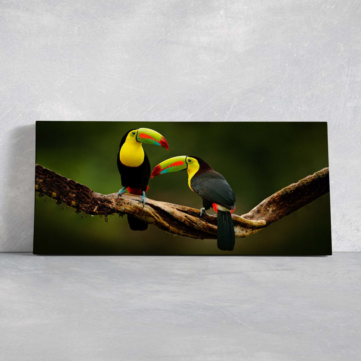 Toucans On Branch Wall Art Canvas-Stunning Canvas Prints