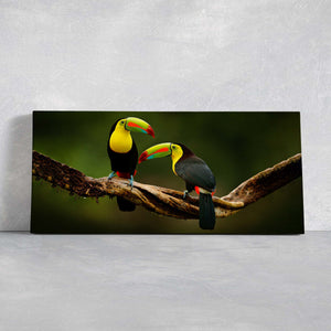 Toucans On Branch Wall Art Canvas-Stunning Canvas Prints