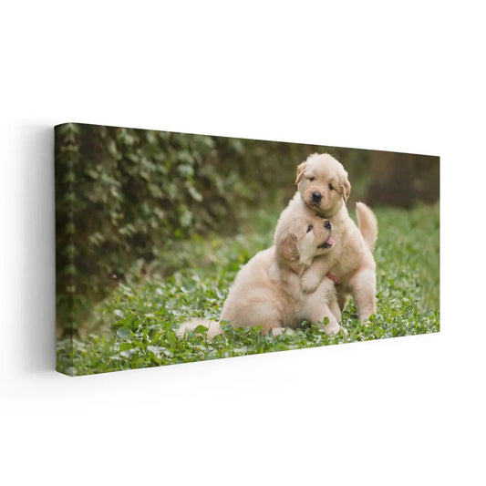 Golden Retriever Pups Wall Art Canvas Print-Stunning Canvas Prints