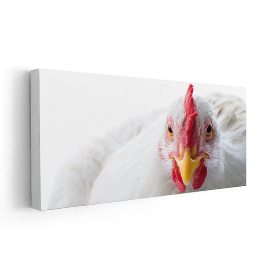 White Chicken Wall Art Canvas-Stunning Canvas Prints