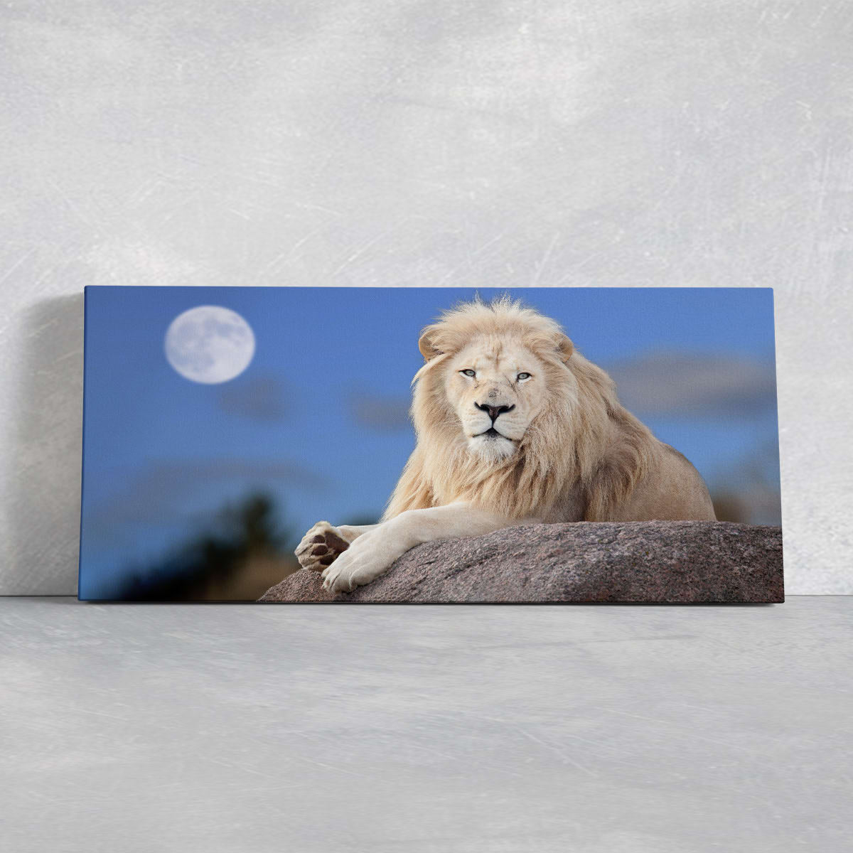 White King Lion Wall Art Canvas-Stunning Canvas Prints