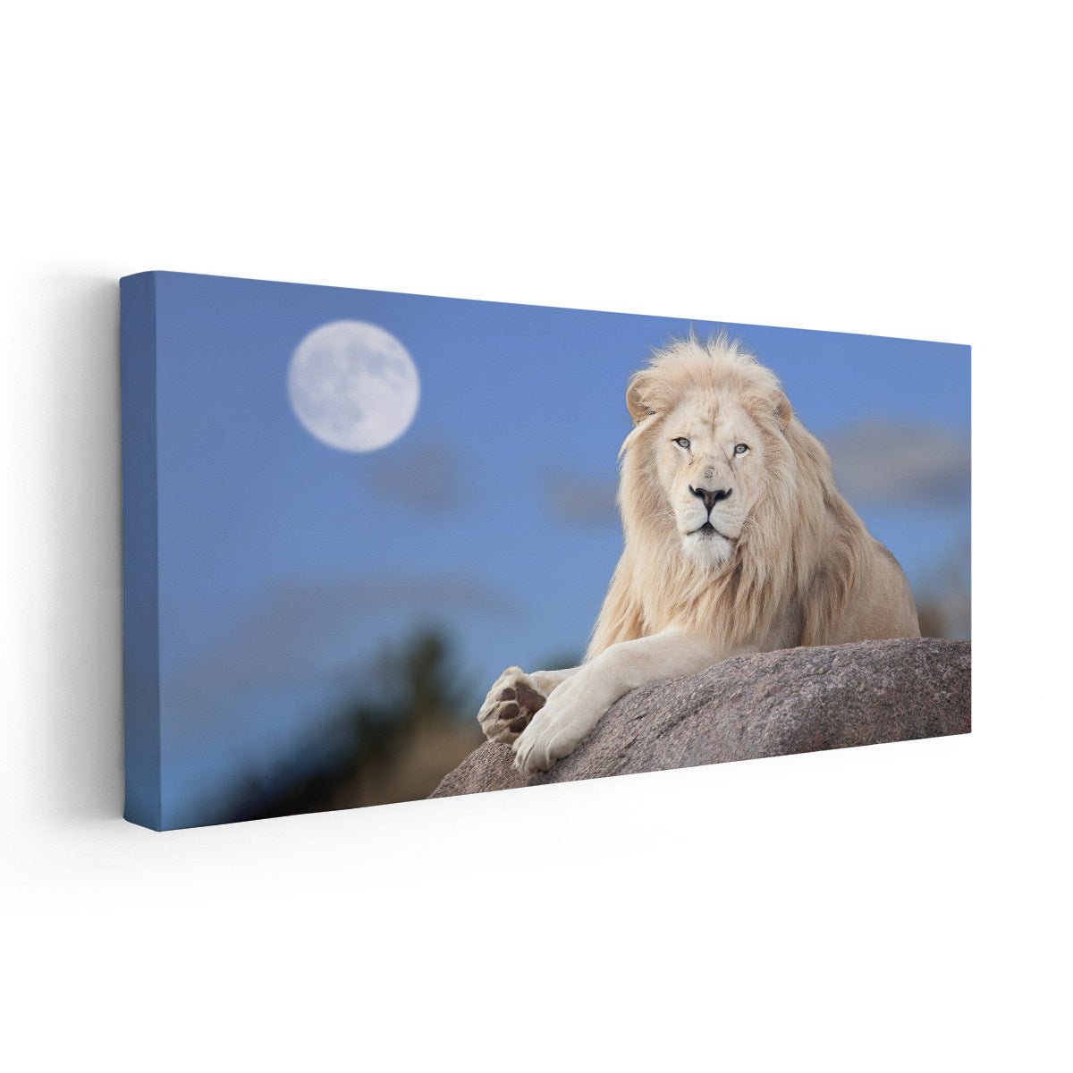 White King Lion Wall Art Canvas-Stunning Canvas Prints