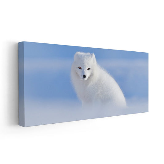 Arctic Fox Wall Art Canvas-Stunning Canvas Prints