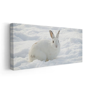 Cute White rabbit Wall Art Canvas-Stunning Canvas Prints