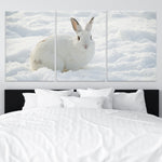 Cute White rabbit Wall Art Canvas-Stunning Canvas Prints