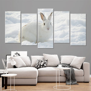 Cute White rabbit Wall Art Canvas-Stunning Canvas Prints