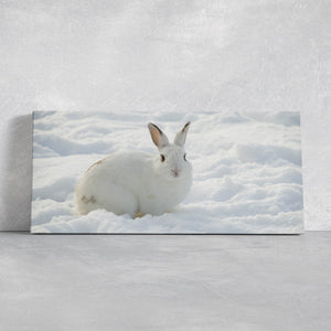 Cute White rabbit Wall Art Canvas-Stunning Canvas Prints