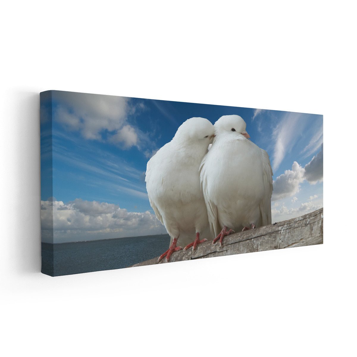 Loving Doves Wall Art Canvas-Stunning Canvas Prints