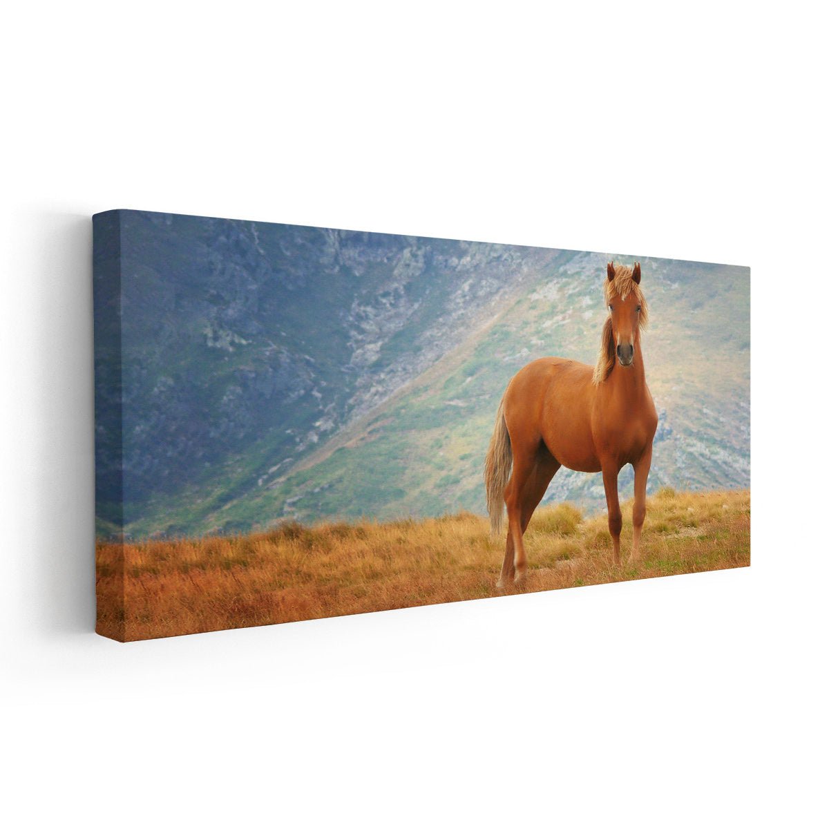 Thoroughbred Horse Wall Art Canvas-Stunning Canvas Prints