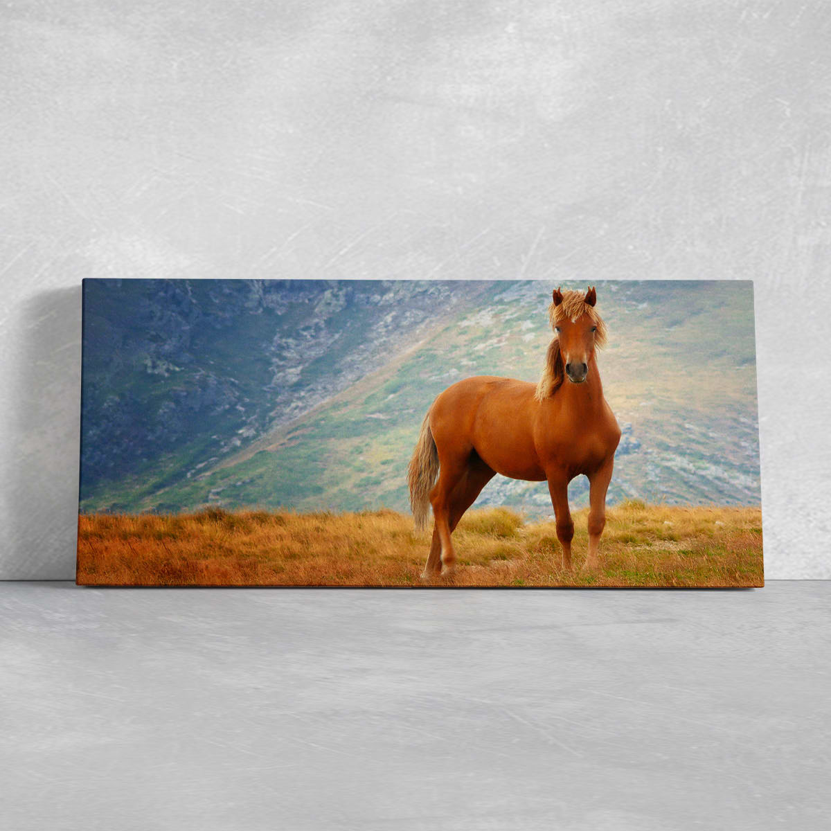 Thoroughbred Horse Wall Art Canvas-Stunning Canvas Prints