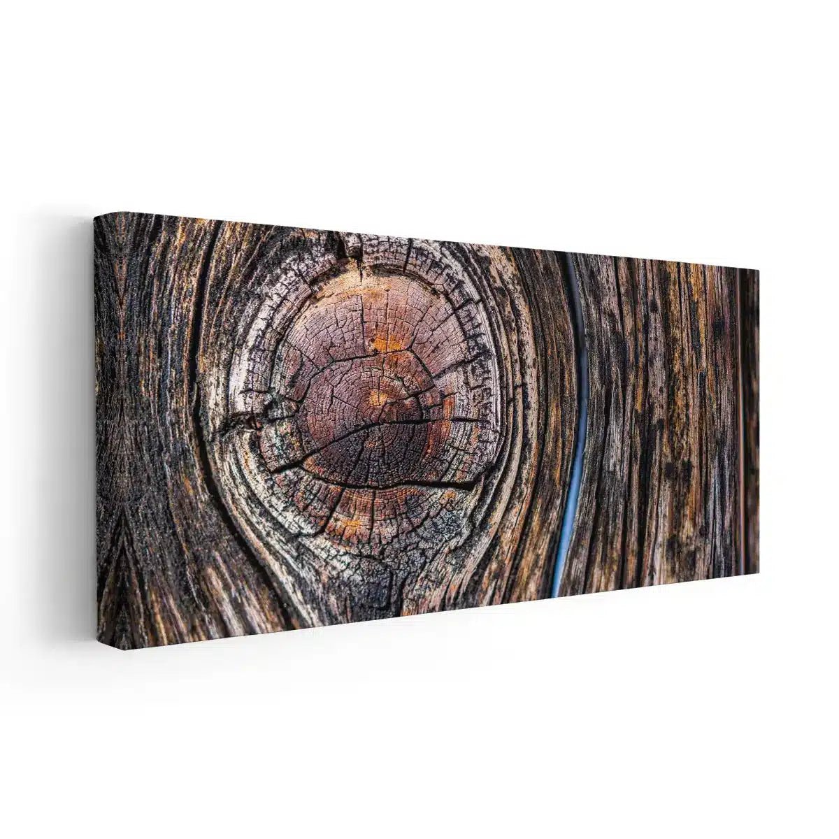 Tree Ring Wall Art Canvas Print-Stunning Canvas Prints