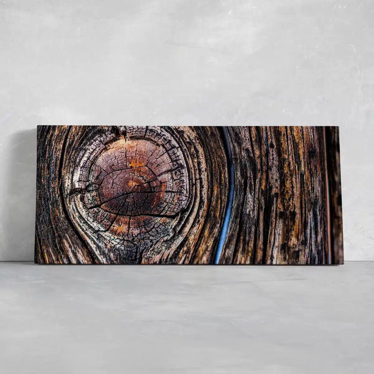 Tree Ring Wall Art Canvas Print-Stunning Canvas Prints