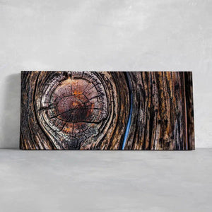 Tree Ring Wall Art Canvas Print-Stunning Canvas Prints