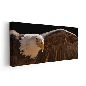 Majestic Bald Eagle Wall Art Canvas-Stunning Canvas Prints