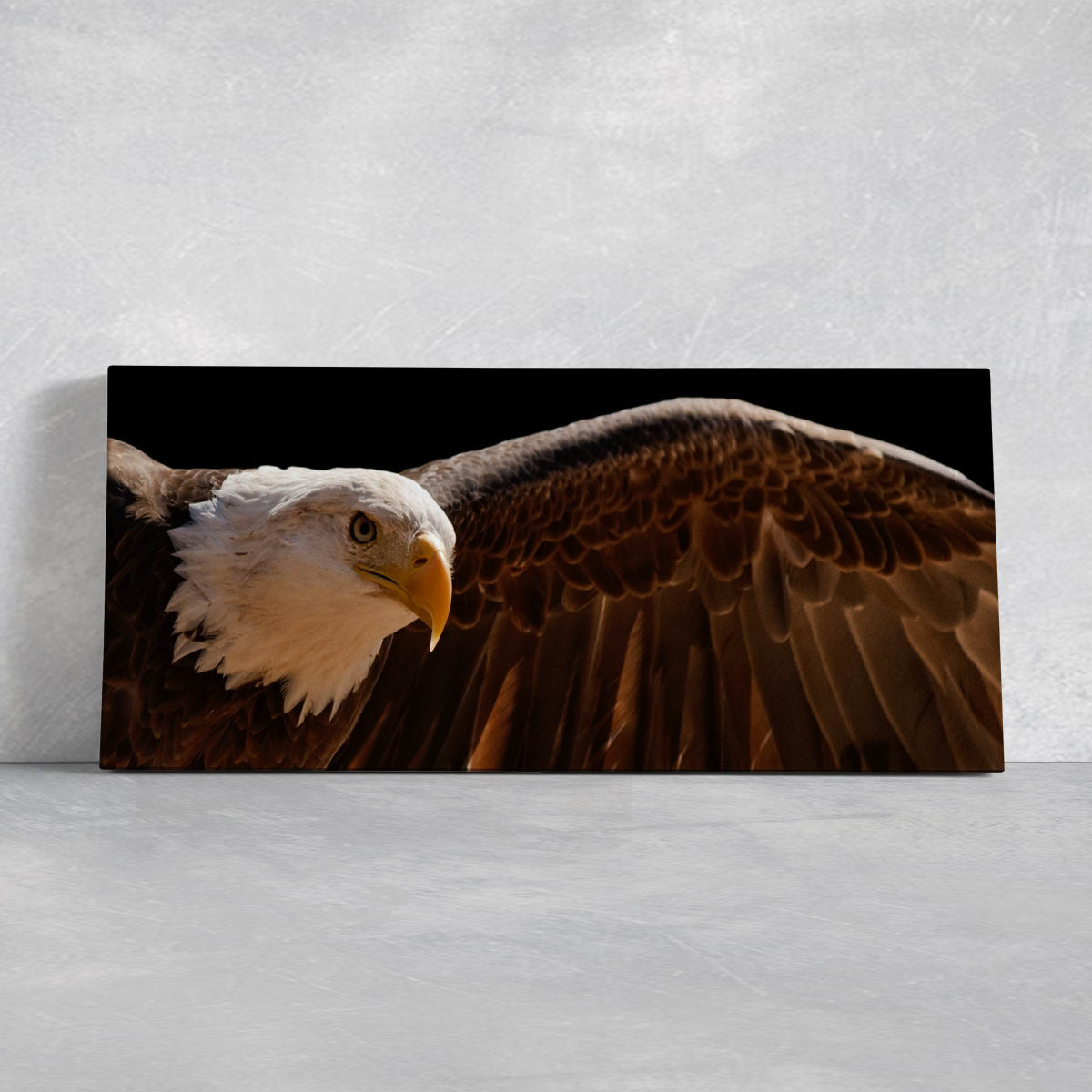 Majestic Bald Eagle Wall Art Canvas-Stunning Canvas Prints