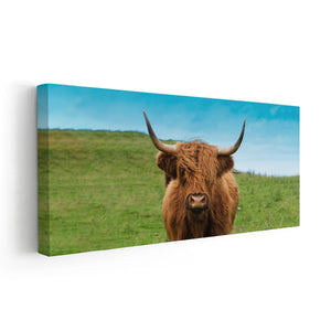 Scottish Hairy Cow Wall Art Canvas-Stunning Canvas Prints