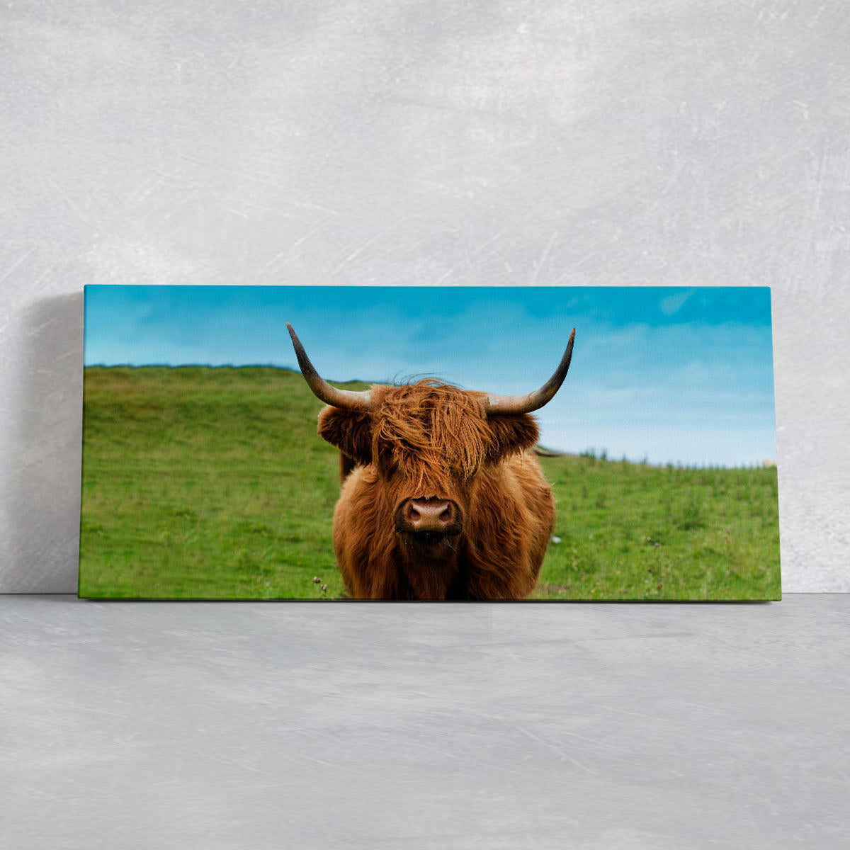 Scottish Hairy Cow Wall Art Canvas-Stunning Canvas Prints