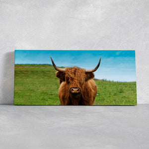 Scottish Hairy Cow Wall Art Canvas-Stunning Canvas Prints