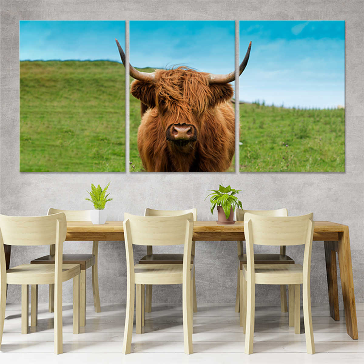 Scottish Hairy Cow Wall Art Canvas-Stunning Canvas Prints