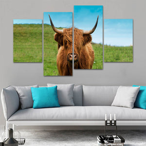 Scottish Hairy Cow Wall Art Canvas-Stunning Canvas Prints