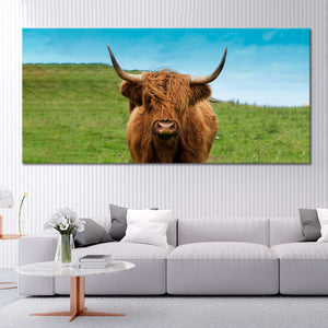 Scottish Hairy Cow Wall Art Canvas-Stunning Canvas Prints