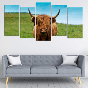 Scottish Hairy Cow Wall Art Canvas-Stunning Canvas Prints