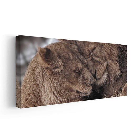 Lion Love Wall Art Canvas-Stunning Canvas Prints