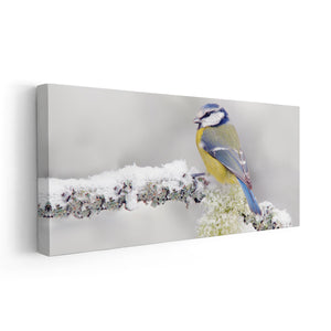 Songbird Wall Art Canvas-Stunning Canvas Prints