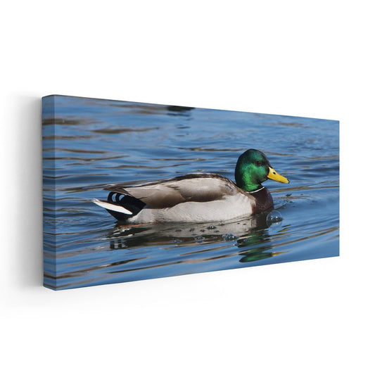 Mallard Duck Wall Art Canvas-Stunning Canvas Prints