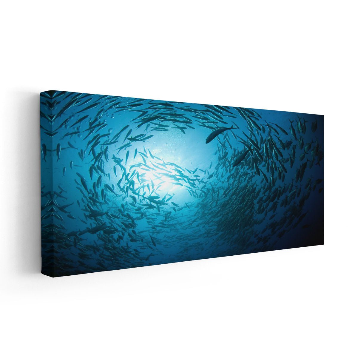 Barracuda Fish Wall Art Canvas-Stunning Canvas Prints