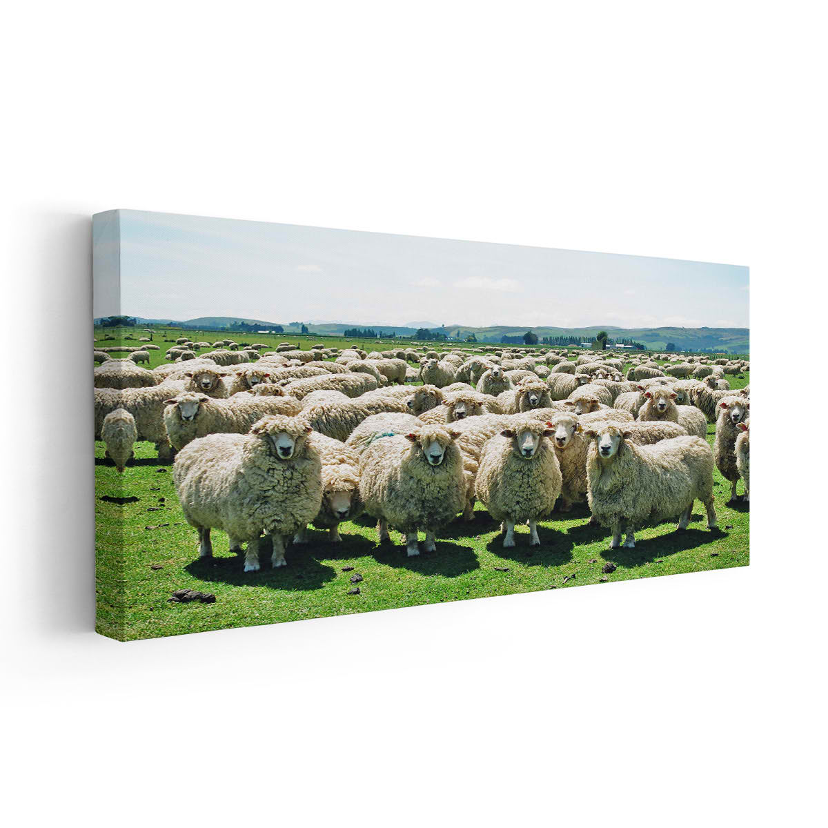 Sheep Flock Wall Art Canvas-Stunning Canvas Prints