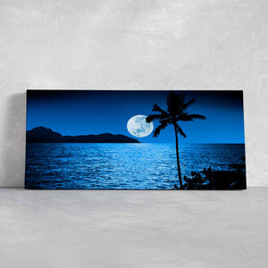 Fiji Moonlight Beach Wall Art Canvas-Stunning Canvas Prints